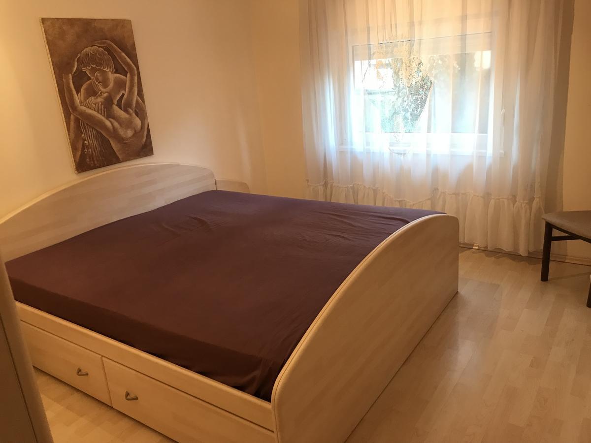 Apartmani Stojanovic Sremska Kamenica Rum bild