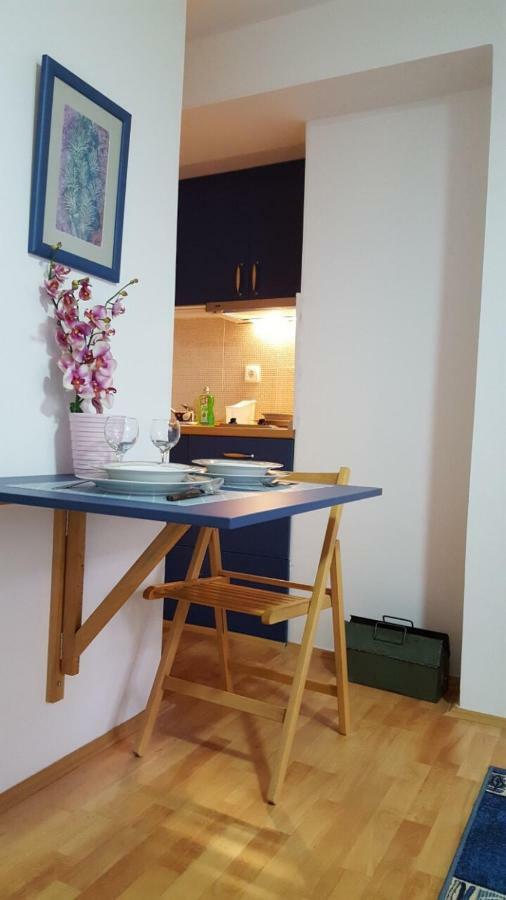 Apartmani Stojanovic Sremska Kamenica Exteriör bild