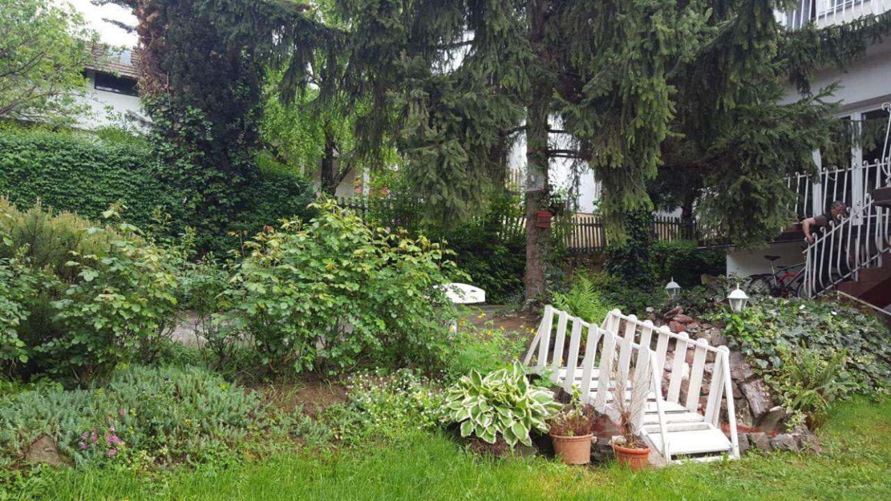 Apartmani Stojanovic Sremska Kamenica Exteriör bild