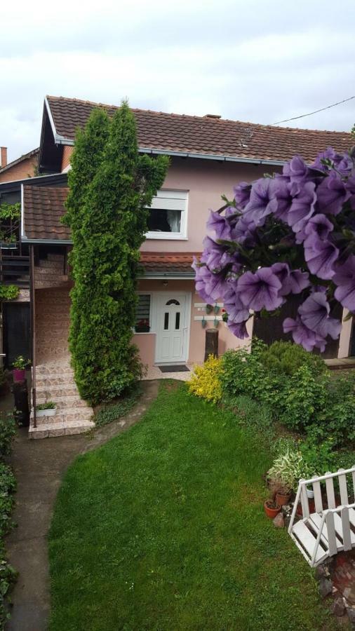 Apartmani Stojanovic Sremska Kamenica Exteriör bild