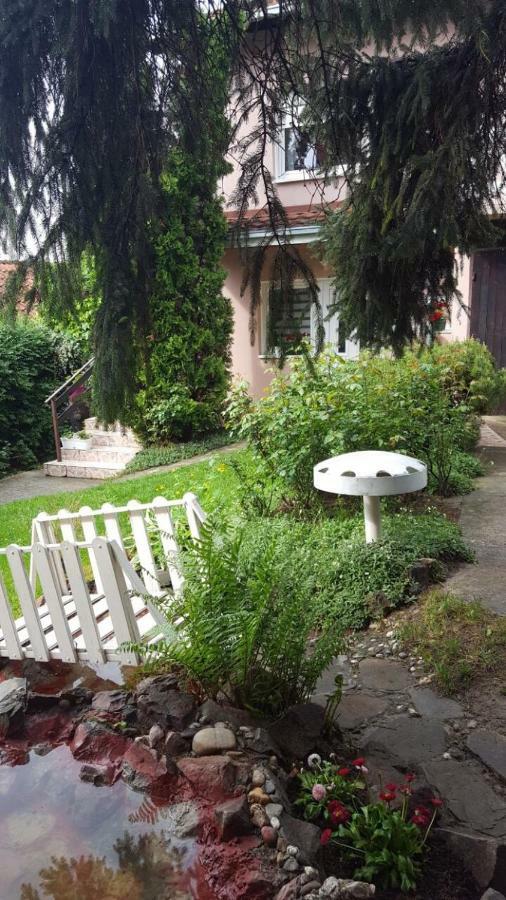 Apartmani Stojanovic Sremska Kamenica Exteriör bild